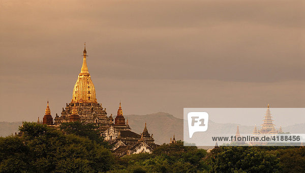 Der Ananda Tempel im Abendlicht  Bagan  Myanmar  Südostasien