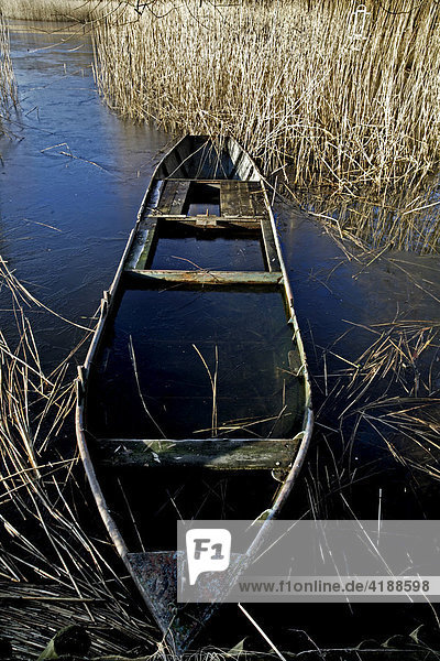 Old fishing boat full of water lying in the reed