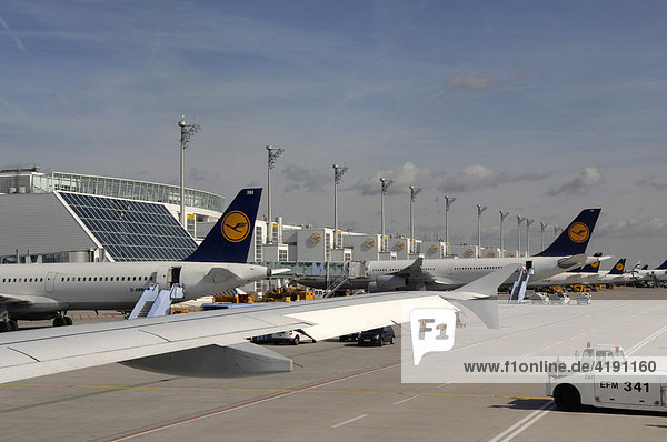 Rollfeld mit Flugzeugen beim Ladevorgang  Flughafen München  Bayern  Deutschland