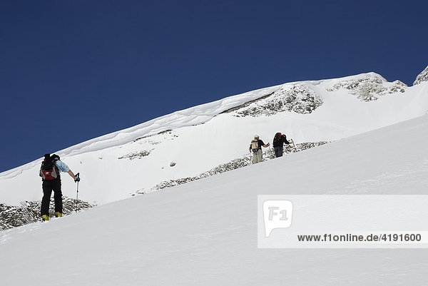 Skitourengeher beim Gipfelaufstieg im Rofan Gebirge  Tirol  Österreich  Europa