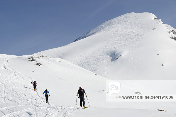 Tourengeher queren auf Skiern einen Schneehang mit Abfahrtsspuren  Rofan Gebirge  Tirol  Österreich  Europa