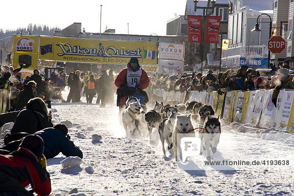 Hundeschlittenführer starten mit ihren Gespannen beim Yukon Quest Hundeschlittenrennen in Whitehorse  Yukon Territorium  Kanada
