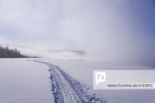 Schlittenspuren verlieren sich im Nebel  gefrorener See  Lake Laberge  Yukon Territorium  Kanada