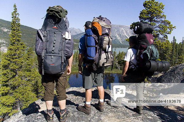 Hikers enjoying a scenic view  mountain landscape  Chilkoot Trail  British Columbia  Canada