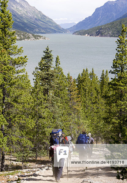 Hikers carrying backpacks on the way to Lake Benett  mountain landscape  Chilkoot Trail  British Columbia  Canada