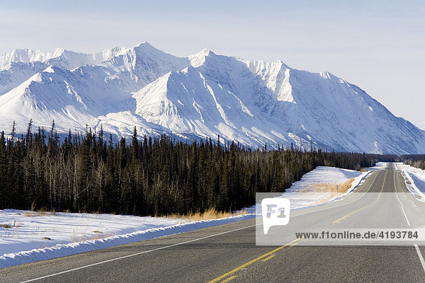 Alaska Highway südlich von Haines Junction  St. Elias Bergkette  Fichten  Yukon Territory  Kanada  Nordamerika