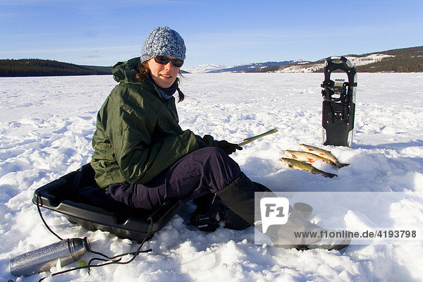 Junge Frau beim Eisfischen  Fox Lake  Yukon Territory  Kanada  Nordamerika
