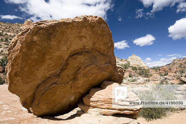 Steinplatte am Canyon Overlook Trail  Zion National Park  Utah  USA