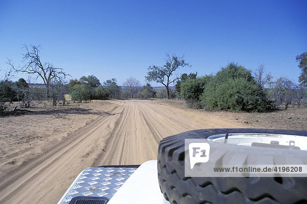 Blick aus fahrenden Land Rover auf Piste Okovango Delta Botswana