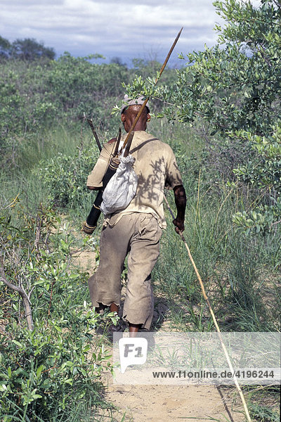 Hunting bushman in Namibia