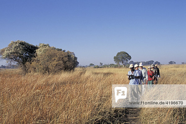 Hiking trip with guide foot safari walking safari Okovango Delta Botswana