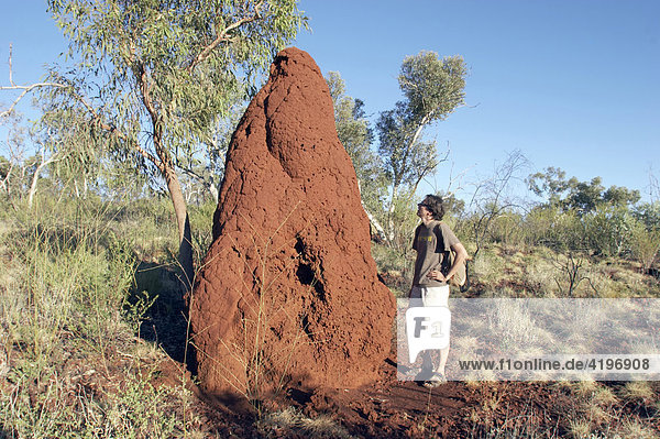 Mann steht neben einem Termitenhuegel Karijini National Park Pilbara Region Westaustralien WA