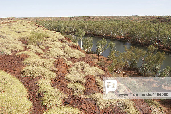 Landschaft und Fortescue River Millstream Chichester National Park Pilbara Region Westaustralien WA