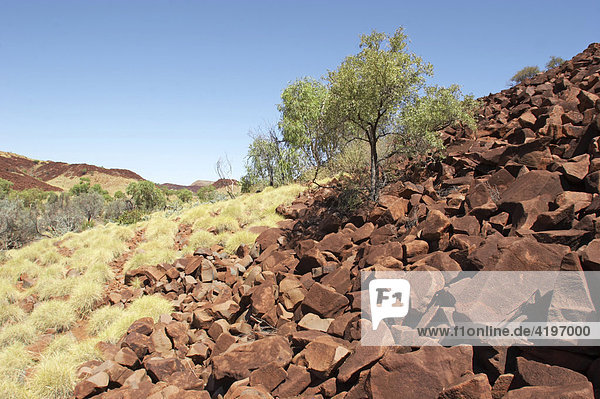 Steine und Spinifex Gras bei Black Hill Pilbara Region Westaustralien WA
