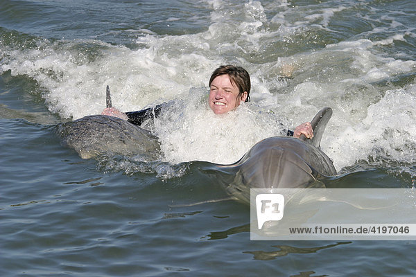 Delphin Schwimmen in Dolphin Research Center Florida USA