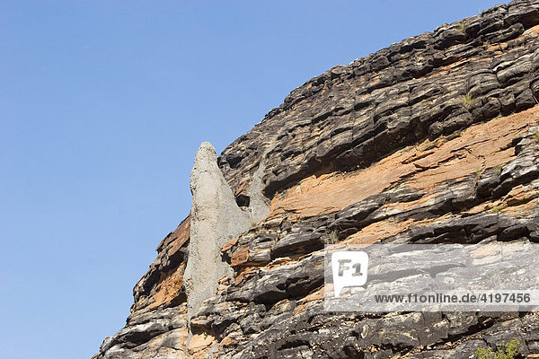 Termitenbau am Fels  Bungle Bungle  Purnululu National Park  Kimberley  Westaustralien  Australien