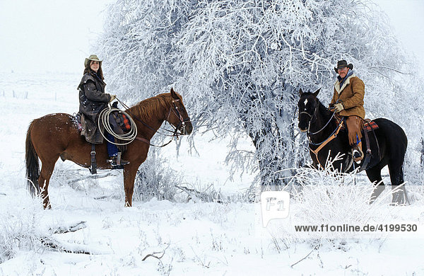 Cowboy and cowgirl surveying from horses  Canada
