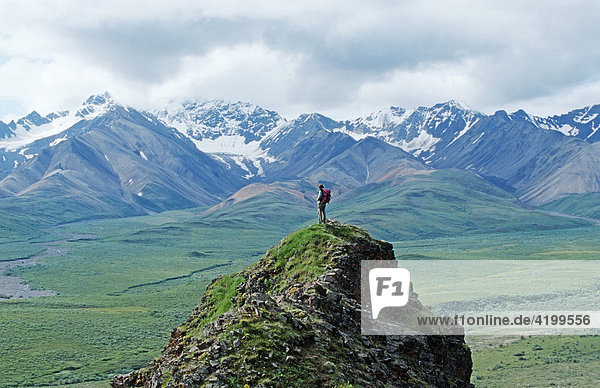 Wanderer vor der Alaska Range im Denali Nationalpark  Alaska