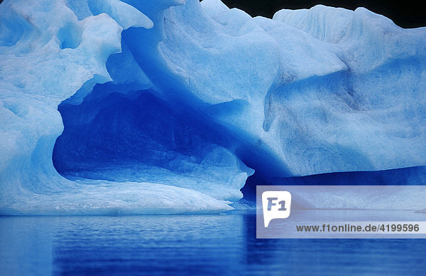 Iceberg  LeConte Glacier  Alaska  USA