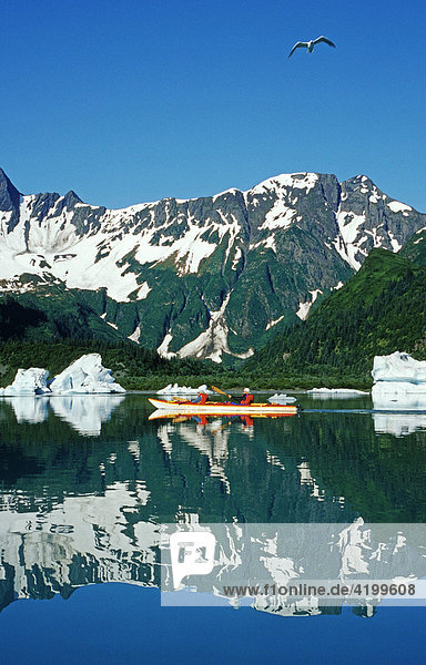 Kayaking  Kenai Fjords National Park  Alaska  USA