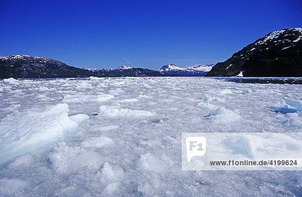 Eisgefüllter Fjord des Chenega Gletschers  Prince William Sound  Alaska  USA