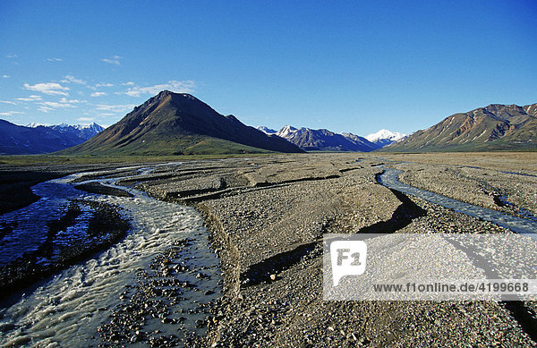 Stark verzweigte Flüsse in einem weiten Flussbett fliessen aus den Bergen der Alaska Range  Denali N.P.  Alaska  USA