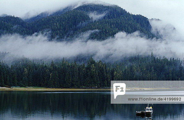 Mist forming over Tongass National Forest  the world's largest temperate rainforest  southeastern Alaska  USA