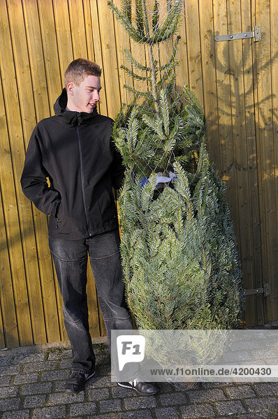 Jugendlicher mit einem in Netz verpackten Weihnachtsbaum