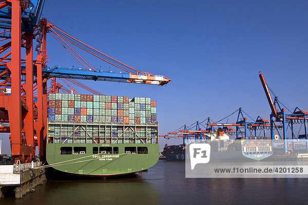Containerverladung im Hamburger Hafen  Containerschiffe am Verladeterminal Eurokai links und am Terminal Burchardkai rechts  Hamburg  Deutschland  Europa