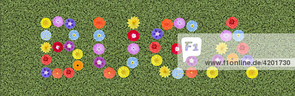 BUGA Abkürzung für Bundesgartenschau geschrieben mit Blumen