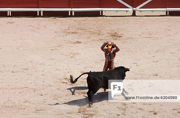 Banderillero beim Stoßen der ersten Banderillas in den Nacken des Stieres  Stierkampf  Feria 2007 in der Arena Arles  Arles  Frankreich