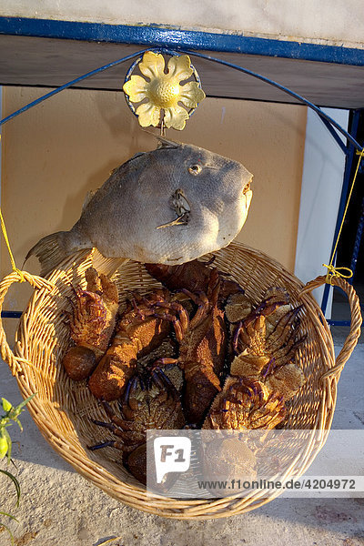 Fishbasket with crayfish  restaurant  seaside-lane in Koroni  Peloponnese  Greece