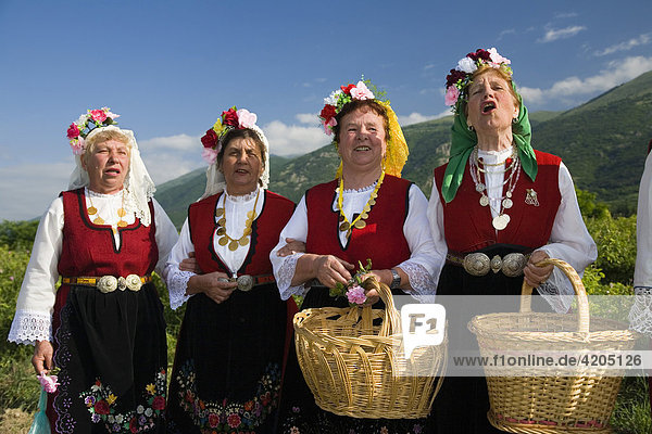 Rosenpflückerinnen singend  Rosenfest  Rosenernte  Karlovo  Bulgarien