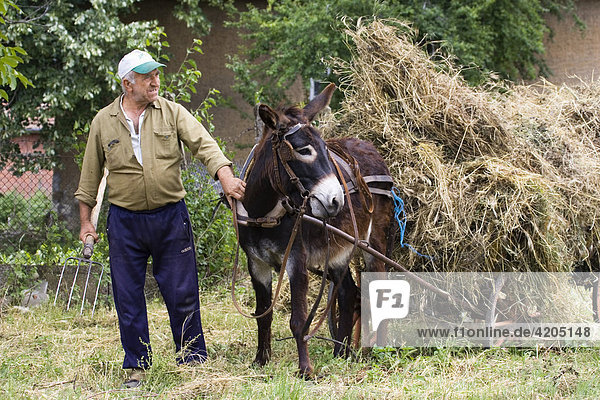 Farmer with Donkey chart  Muselievo near Pleven  Bulgaria
