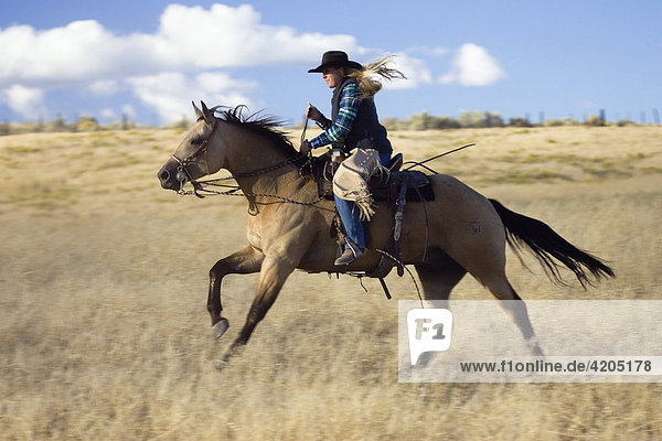 Cowgirl reitet  Oregon  USA
