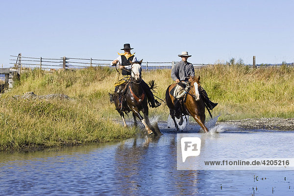 Cowboys riding in water  Oregon  USA