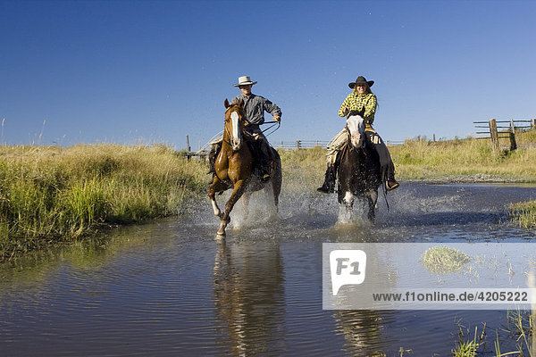 Cowgirl und Cowboy reiten durch Bach  Oregon  USA