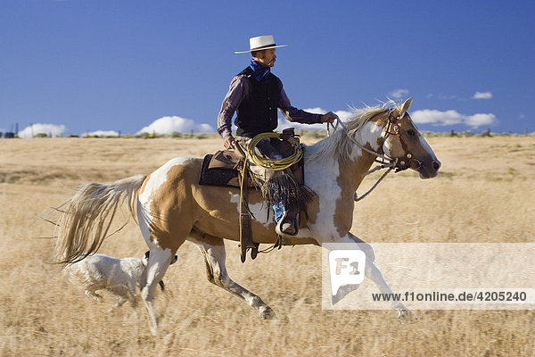 Cowboy riding  Oregon  USA