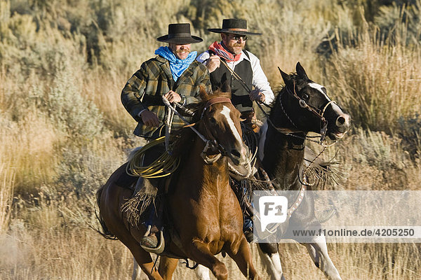 Cowboys riding  Oregon  USA
