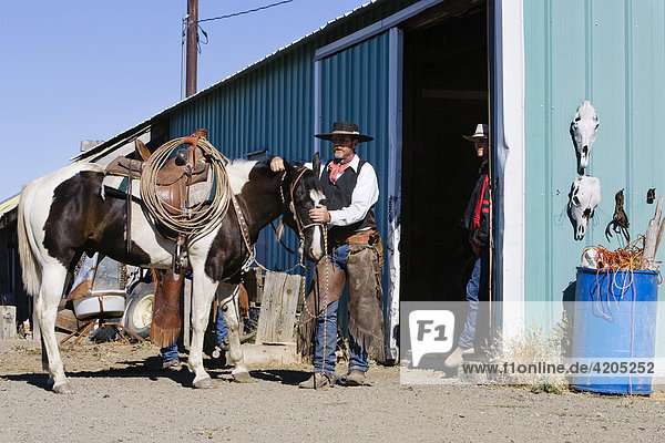 Cowboy mit Pferd vor Stall  Wilder Westen  Oregon  USA