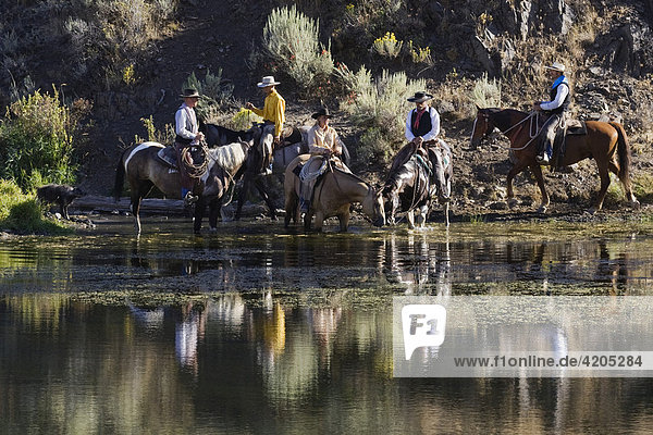 Cowgirl und Cowboys tränken ihre Pferde  Wilder Westen  Oregon  USA