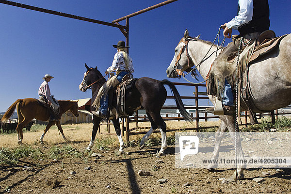 Cowgirl und Cowboys arbeiten auf Farm  Wilder Westen  Oregon  USA