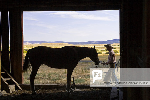 Cowboy mit Pferd in Scheune  Wilder Westen  Oregon  USA