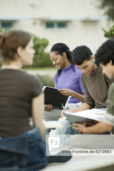 Studenten  die im Freien studieren