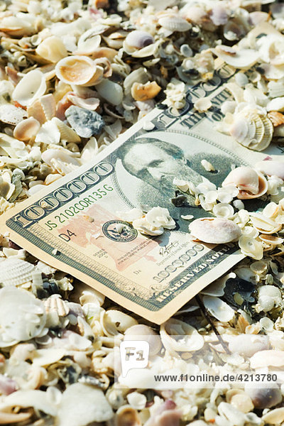 One-million dollar bill half buried in seashells