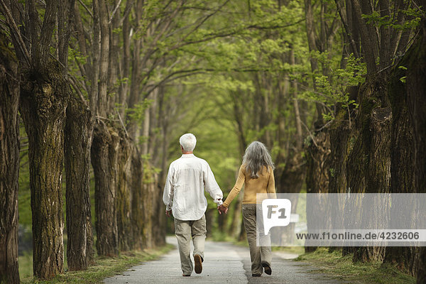 Seniorenpaar geht Hand in Hand auf einer Allee spazieren  Italien  Telve
