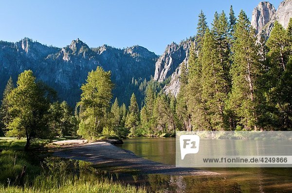 Typical landscape in the morning  with Merced River in Yosemite National Park  California  USA