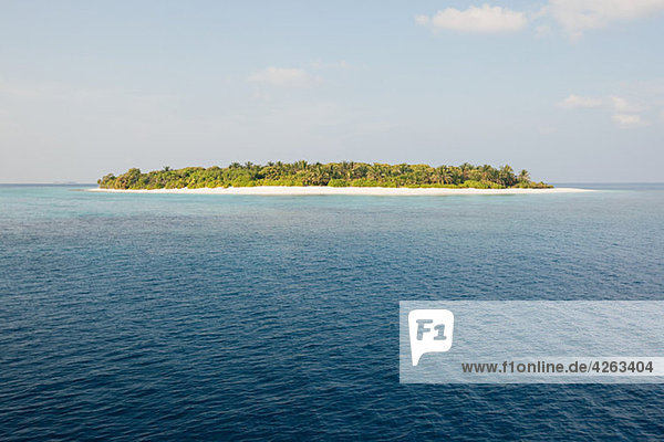 Insel Havodigalaa  Südliches Huvadhu Atoll  Malediven