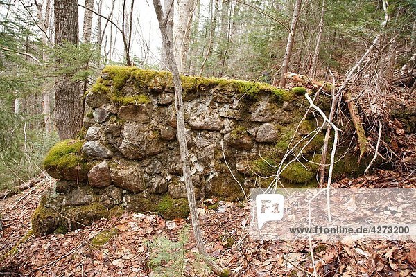 Remnants of a dry trestle along the abandoned East Branch & Lincoln Railroad (1893-1948) in the Pemigewasset Wilderness of Lincoln  New Hampshire. This trestle was used to cross a steep hillside.