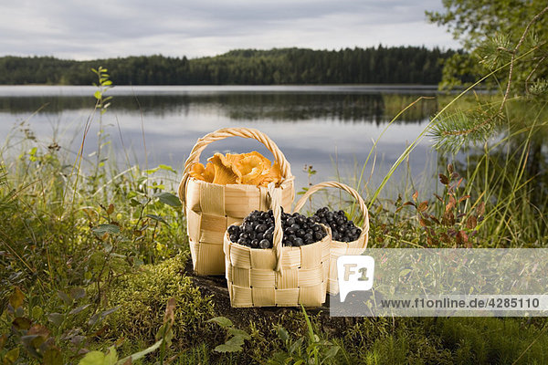 Berries and mushrooms in baskets by lake